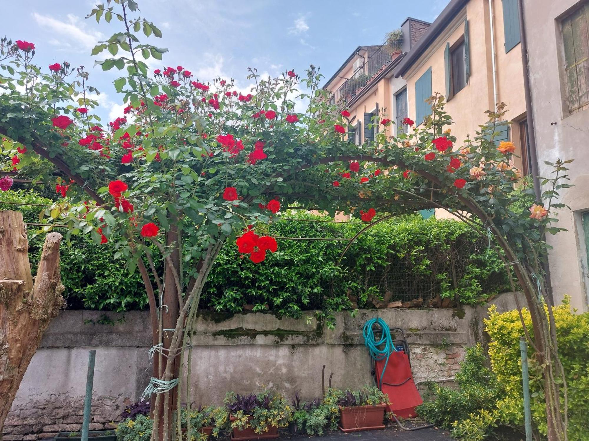 Elena Casa Turistica Apartment Padova Exterior photo